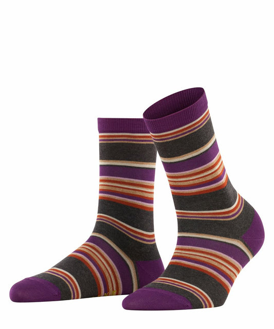 Socken Pop Stripe